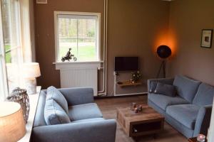 un soggiorno con 2 divani blu e una TV di ‘t Bosrandje a Odoorn