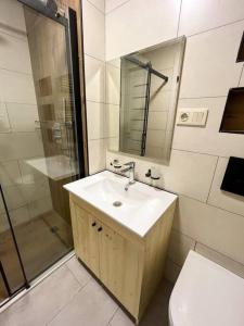 a bathroom with a sink and a shower and a toilet at Room310 in Gudauri