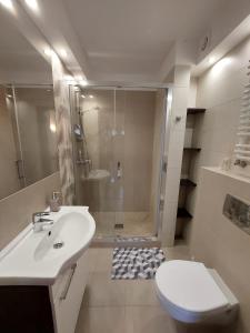 a bathroom with a toilet and a sink and a shower at Apartament Południowy in Debina