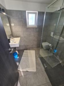 a bathroom with a shower and a sink and a toilet at Villa Ska in Pula