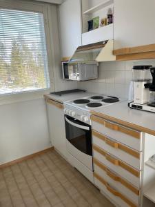 Een keuken of kitchenette bij Näköalahuoneisto AARNI & NAAVA