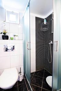 een badkamer met een douche, een toilet en een wastafel bij Apartman NONO in Splitska