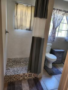a bathroom with a toilet and a shower curtain at Tjokkerland in Cradock