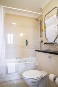 a bathroom with a toilet and a bath tub at Arnos Manor Hotel in Bristol