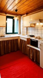 蒂米薩那的住宿－Kristis's Homes - "Beautiful Home" in Dimitsana，中间铺有红地毯的厨房