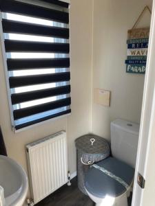 a bathroom with a toilet and a sink and a window at Beautiful Spacious Holiday Home - Romney Sands in New Romney