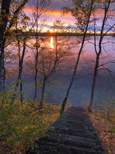 a stone path leading to the water at sunset at Pušų gaudyklė in Ginučiai