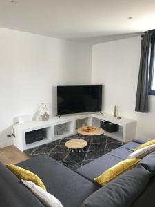 sala de estar con sofá y TV de pantalla plana en Agréable maison de village avec garage & terrasse, en Lespignan
