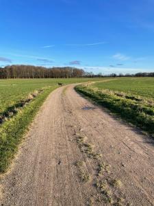 Paesaggio naturale nelle vicinanze dell'appartamento