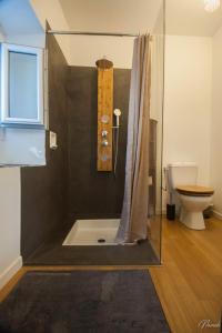 a bathroom with a shower and a toilet in it at Gîte du parc à Langel in Armissan