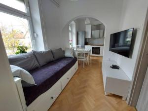 a living room with a couch and a tv at Apartment Bezigrad in Ljubljana