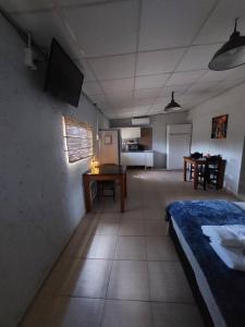 Großes Zimmer mit einem Bett und einer Küche. in der Unterkunft Cardozo House Monoambiente acogedor y familiar in Villa Dolores