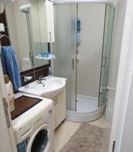 a bathroom with a shower and a sink and a washing machine at Mint in Sremska Mitrovica