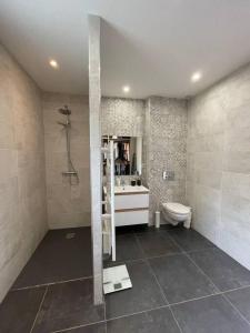 a bathroom with a shower and a toilet and a sink at Maison au bord de Loire in Veauchette