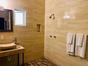 W łazience znajduje się umywalka i prysznic. w obiekcie Hotel Boutique Rosa de Lima w mieście Querétaro