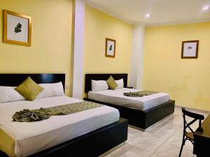 2 łóżka w pokoju z żółtymi ścianami w obiekcie Hotel Boutique Rosa de Lima w mieście Querétaro