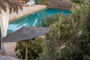 a pool with an umbrella and a chair next to it at Dar Alya Essaouira Maison et table d'hôtes in Ghazoua