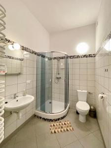 ein Bad mit einer Dusche, einem WC und einem Waschbecken in der Unterkunft Noclegi Długie in Długie