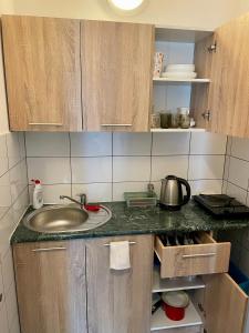 eine Küche mit einer Spüle und einer Arbeitsplatte in der Unterkunft Noclegi Długie in Długie
