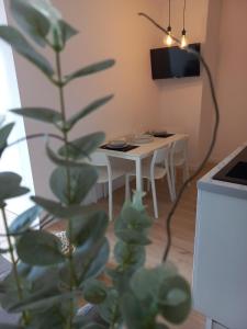 einen Tisch und Stühle in einem Wohnzimmer mit einer Pflanze in der Unterkunft Le 29 spacieux , wifi et climatisation in Agen