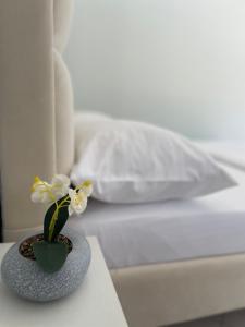 a vase with white flowers sitting on a table at GUGA Host House in Sarandë