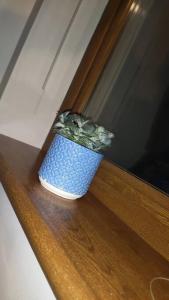 a blue vase with a plant sitting on a window sill at Meadow View in Moneymore
