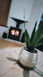 a potted plant sitting on a table with a fireplace at Meadow View in Moneymore