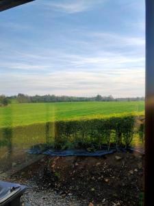 a view of a green field from a train window at Meadow View in Moneymore