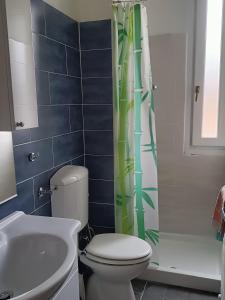 a bathroom with a toilet and a shower curtain at Appartamento in bassa montagna a Bussoleno in Bussoleno