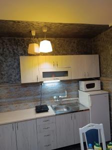 Küche/Küchenzeile in der Unterkunft Kuršumlijska banja apartman