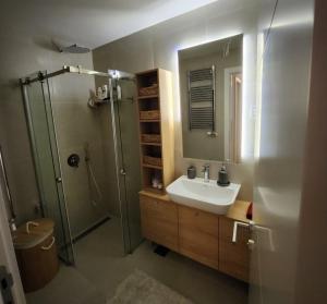 een badkamer met een douche, een wastafel en een spiegel bij APARTMAN FLORENCE in Mirijevo