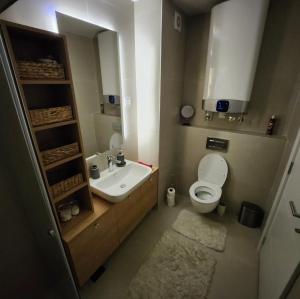 een badkamer met een wastafel, een toilet en een spiegel bij APARTMAN FLORENCE in Mirijevo