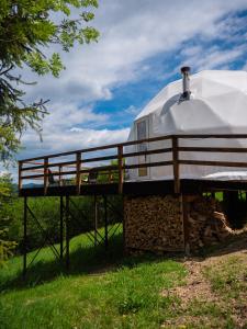 un edificio con una cúpula sobre un campo en SlavskoGlamping en Slavske