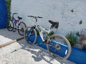 Campinho的住宿－Bluemoon Campinho (Alqueva)，两辆自行车停在墙上
