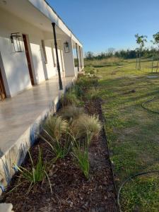 a building with plants in front of a yard at Casimiro Ibera Hotel Boutique in Colonia Carlos Pellegrini