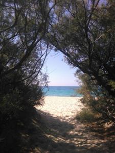 a view of the beach through the trees at Alessandro e Laura in Quartucciu