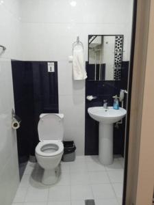 a bathroom with a toilet and a sink at Green Garden Hotel in Yerevan
