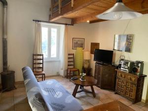 sala de estar con sofá y TV en Charmant petit gîte au cœur de l’Ardèche, en Saint-Mélany