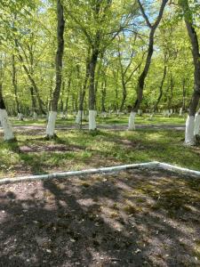 a park with trees and a white line in the grass at Quba Cottage in Qǝlǝduz