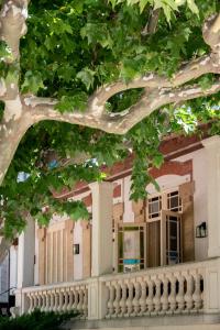 un edificio con un árbol delante de él en Soko Hotels-Pont du Gard en Remoulins