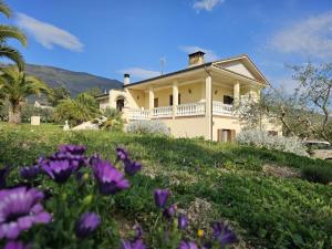 a house on a hill with purple flowers at Il magico nido in Assisi