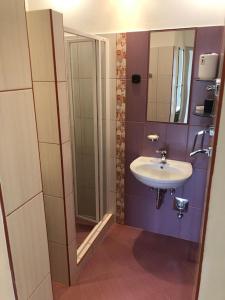 a bathroom with a sink and a shower at Awesome, 15 mins to center home in Budapest