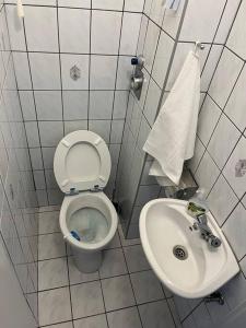 a small bathroom with a toilet and a sink at Awesome, 15 mins to center home in Budapest