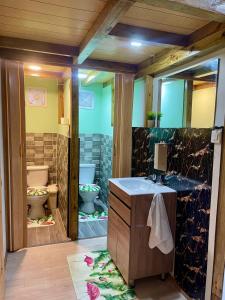 La salle de bains est pourvue d'un lavabo, de toilettes et d'un miroir. dans l'établissement Casa Mano Juan, à Mano Juan