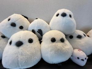 a group of stuffed polar bears sitting next to each other at Monbetsu Prince Hotel in Mombetsu