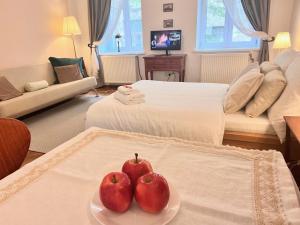 dos manzanas en un plato en una habitación de hotel en Magic Vienna right next to the Prater! en Viena