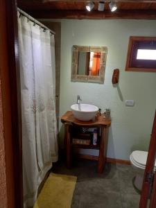 a bathroom with a sink and a shower curtain at CABAÑAS ALMA SERENA in Capilla del Monte