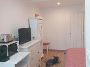 uma sala de estar com televisão e um gato deitado no chão em Guestroom Létricourt, 2 pièces, 4 personnes - FR-1-584-197 em Létricourt