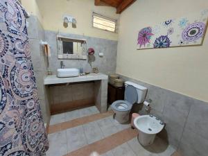 a bathroom with a toilet and a sink and a mirror at Cardozo House, casa de campo in Villa Dolores