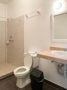 a bathroom with a toilet and a sink at Departamentos Huerta in Ciudad Fernández +24 photos